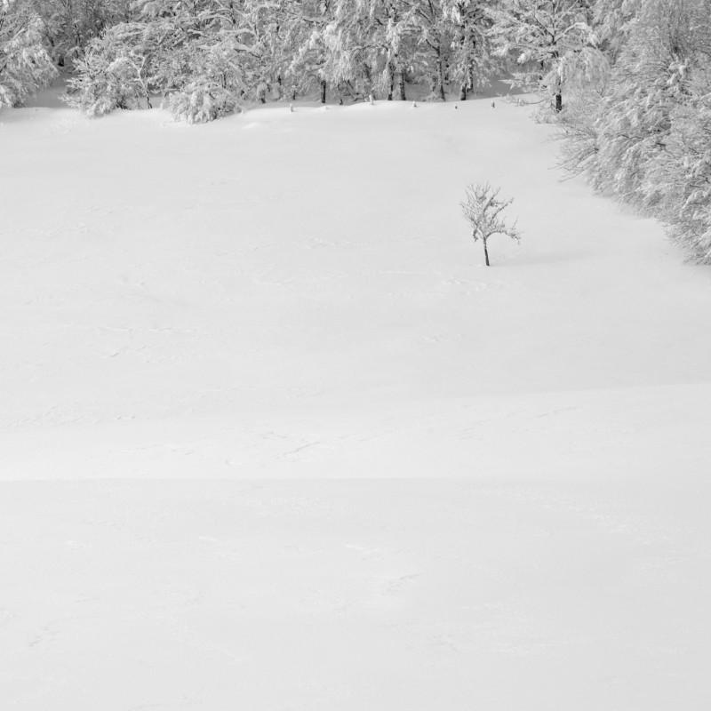 _VB00381- copie2_1
