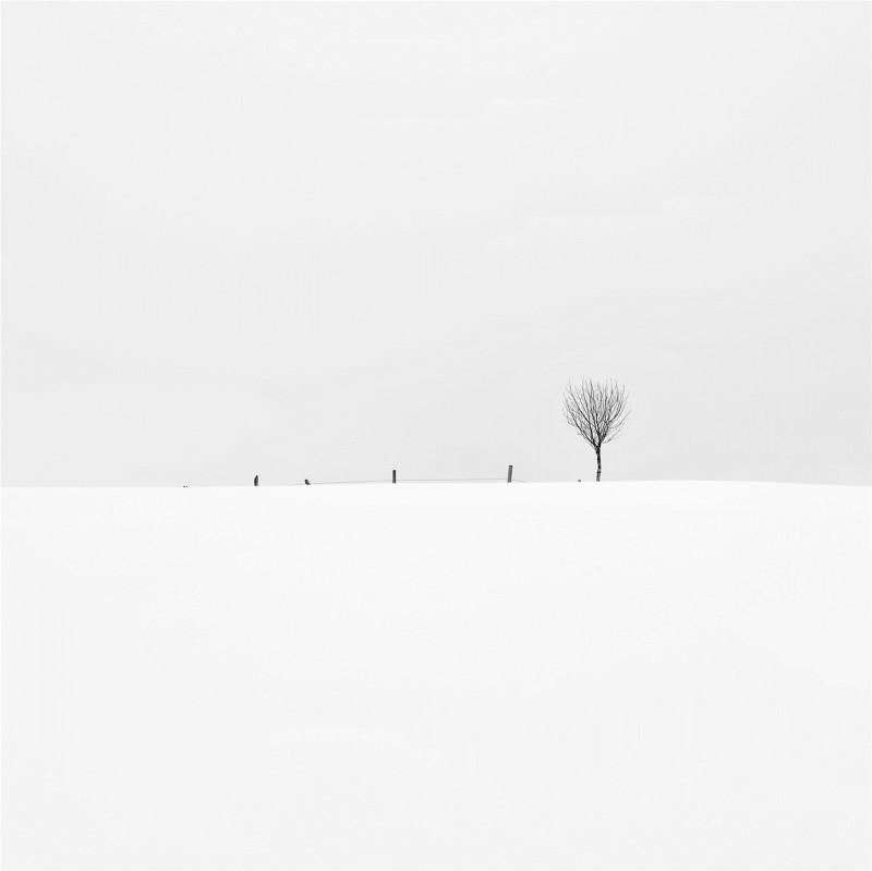 _VB00185_2_1