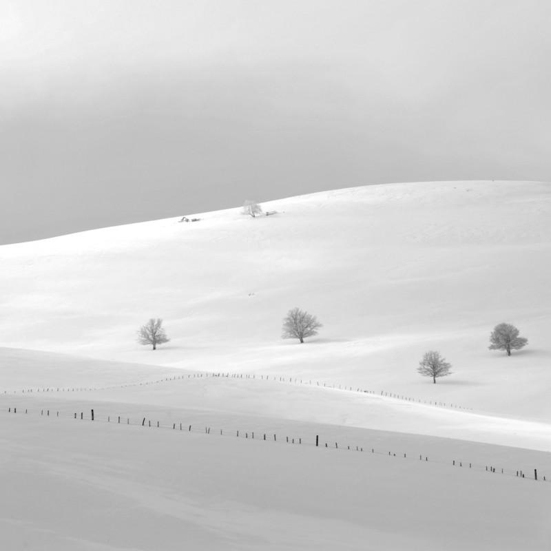 _VB00252_2_1